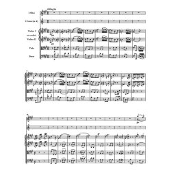 Symphony - Haydn, Joseph