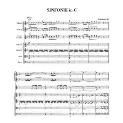 Symphony - Haydn, Joseph