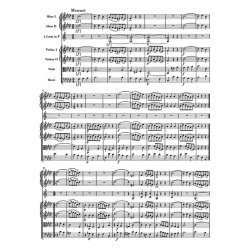 Symphony - Haydn, Joseph