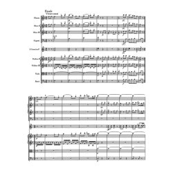 Symphony - Haydn, Joseph