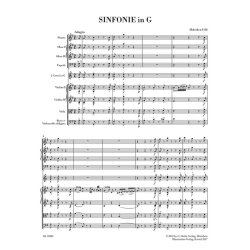 Symphony - Haydn, Joseph