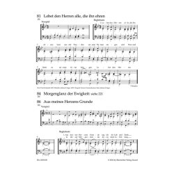 Bl&auml;serbuch zum Gotteslob : Spielpartitur in B