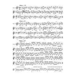 Vierzig Variationen F&uuml;r Violine Op. 3