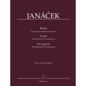 Youth - Die Jugend : Bearbeitung für Streichquartett