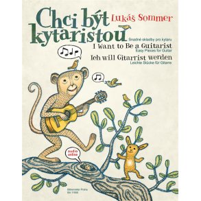 I Want To Be A Guitarist