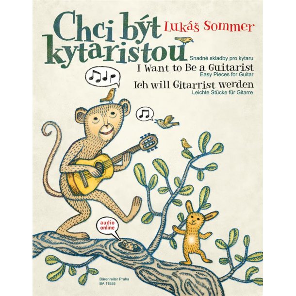 I Want To Be A Guitarist