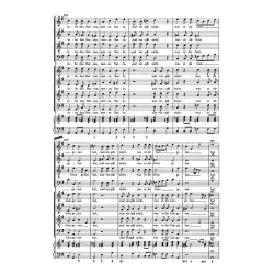 Konzert Lobe den Herrn, meine Seele