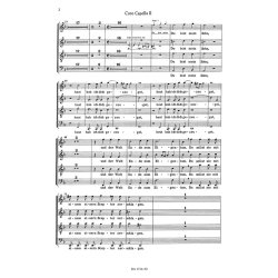 Warum toben die Heiden : Capellchor 2