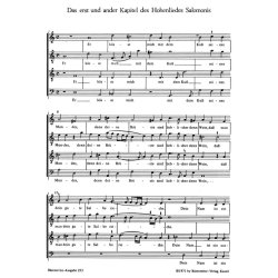 Das Hohelied Salomonis