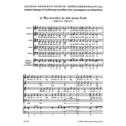 Was betr&uuml;bst du dich, meine Seele