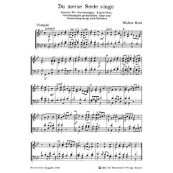 Du meine Seele, singe - Rein, Walter