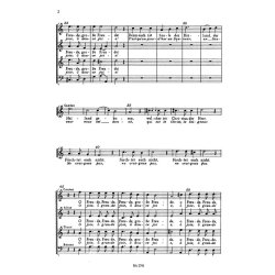 Ihr lieben Hirten, furchtet euch nicht : O gentils bergers, ne craignez paz