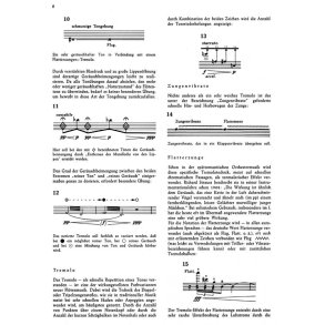 Neue Spieltechniken in der Querflötenmusik nach 1950 - Gümbel, Martin