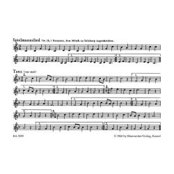 Mittelalterliche Spielmannsmusik - 