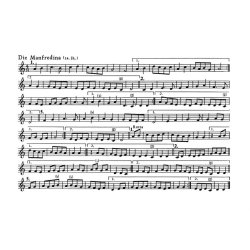 Mittelalterliche Spielmannsmusik - 