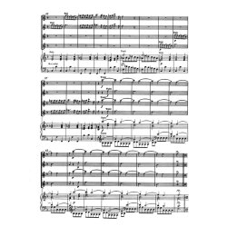 Concerto VII - Vivaldi, Antonio