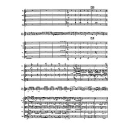 Rhapsody-Concerto - Martinu, Bohuslav