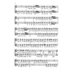 2 kleine geistliche Konzerte : f&uuml;r Advent und Weihnachten