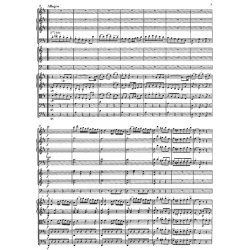 Symphony - Haydn, Joseph / Salomon, Johann Peter