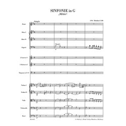 Symphony - Haydn, Joseph / Salomon, Johann Peter