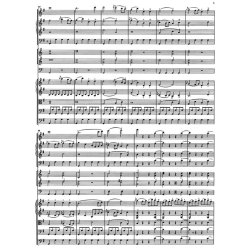 Symphony - Haydn, Joseph / Salomon, Johann Peter