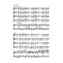 Creation Mass In B Flat Hob.XXII