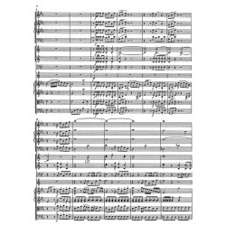 Concerto - Haydn, Joseph