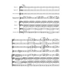 Concerto - Mozart, Wolfgang Amadeus