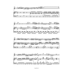 Clarinet Concerto In A K.622 : Clarinet and Piano