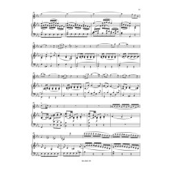 Violin Concerto No.1 in B-flat major K.207