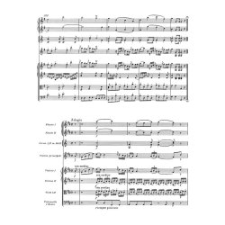 Concerto - Mozart, Wolfgang Amadeus