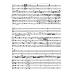 Concerto - Mozart, Wolfgang Amadeus