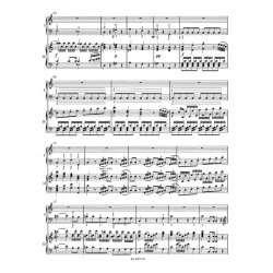 Piano Concerto No. 13 in C major K. 415 (387b)