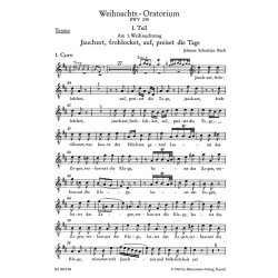 Christmas Oratorio BWV 248 : Tenor