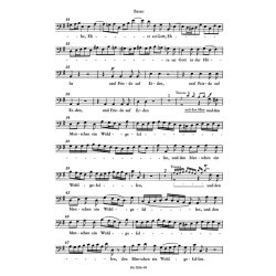 Christmas Oratorio BWV 248 : Bass