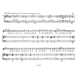 St. Matthew Passion - Bach, Johann Sebastian