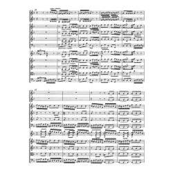 Brandenburg Concerto - Bach, Johann Sebastian