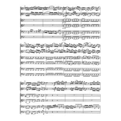 Brandenburg Concerto - Bach, Johann Sebastian