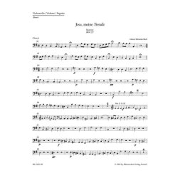 Jesu, meine Freude - Bach, Johann Sebastian
