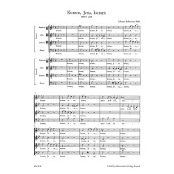 Motet No.5 Komm, Jesu, komm BWV 229 : Komm, Jesu, komm