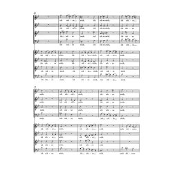 Motet No.5 Komm, Jesu, komm BWV 229 : Komm, Jesu, komm