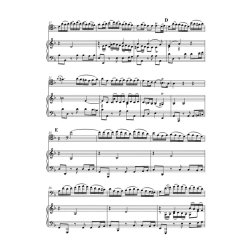 Concerto For Violoncello String And BC A Minor