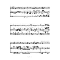Violin Concerto In D Minor
