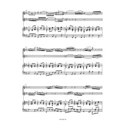 Concerto - Bach, Johann Sebastian