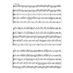 Concerto - Bach, Johann Sebastian