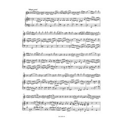 Violin Concerto In A Minor BWV 1041