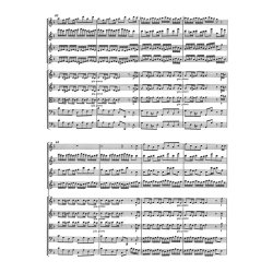 Brandenburg Concerto - Bach, Johann Sebastian