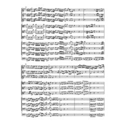 Brandenburg Concerto - Bach, Johann Sebastian