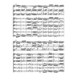 Brandenburg Concerto - Bach, Johann Sebastian