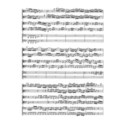 Brandenburg Concerto - Bach, Johann Sebastian